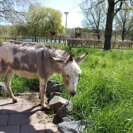 Broeckhuys Lakeview Vip Bungalows 6p With Sauna Aan Het Water Met Wijds Uitzicht Hotel