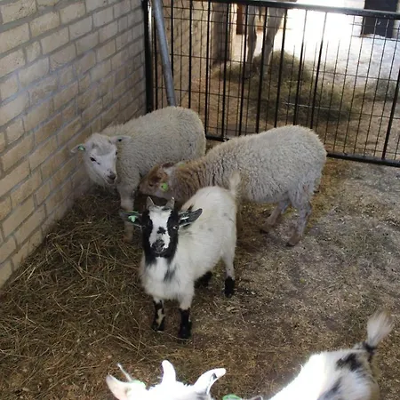 Broeckhuys Lakeview Vip Bungalows 6p With Sauna Aan Het Water Met Wijds Uitzicht Hotel *