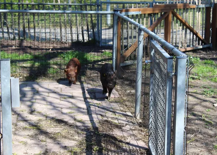 Otel Broeckhuys Lakeview Vip Bungalows 6p With Sauna Aan Het Water Met Wijds Uitzicht Ewijk