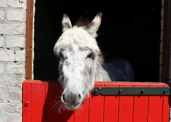 Broeckhuys Lakeview Vip Bungalows 6p With Sauna Aan Het Water Met Wijds Uitzicht * Ewijk