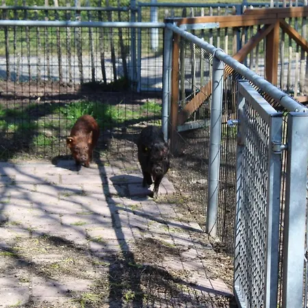 호텔 Broeckhuys Lakeview Vip Bungalows 6p With Sauna Aan Het Water Met Wijds Uitzicht Ewijk