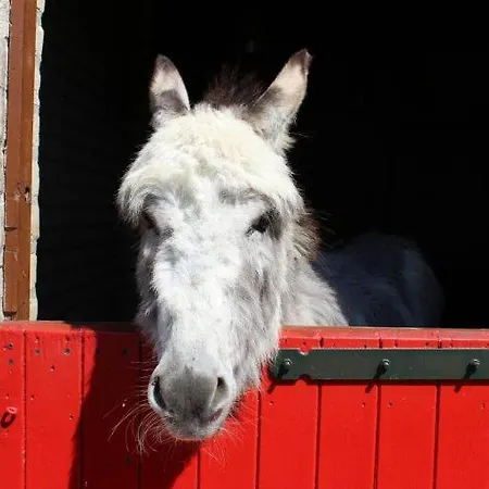 Broeckhuys Lakeview Vip Bungalows 6p With Sauna Aan Het Water Met Wijds Uitzicht * Ewijk