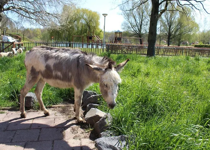 Broeckhuys Lakeview Vip Bungalows 6p With Sauna Aan Het Water Met Wijds Uitzicht Hotel