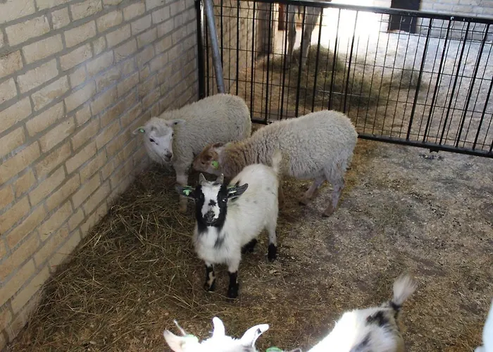 Broeckhuys Lakeview Vip Bungalows 6p With Sauna Aan Het Water Met Wijds Uitzicht 호텔 *